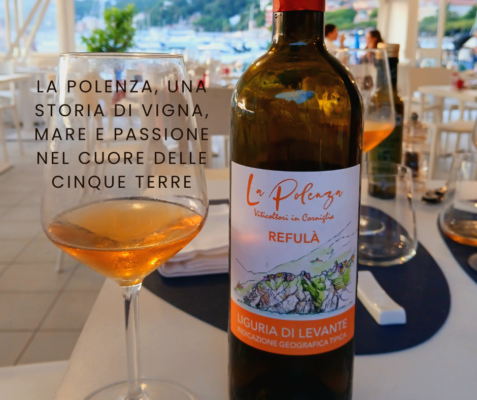 La Polenza, una storia di vigna, mare e passione nel cuore delle Cinque&nbsp;Terre