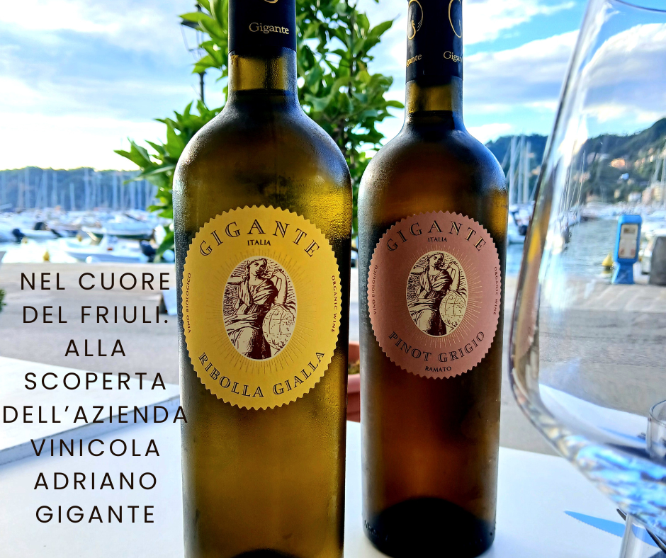 Nel cuore del Friuli: alla scoperta dell’Azienda Vinicola Adriano&nbsp;Gigante