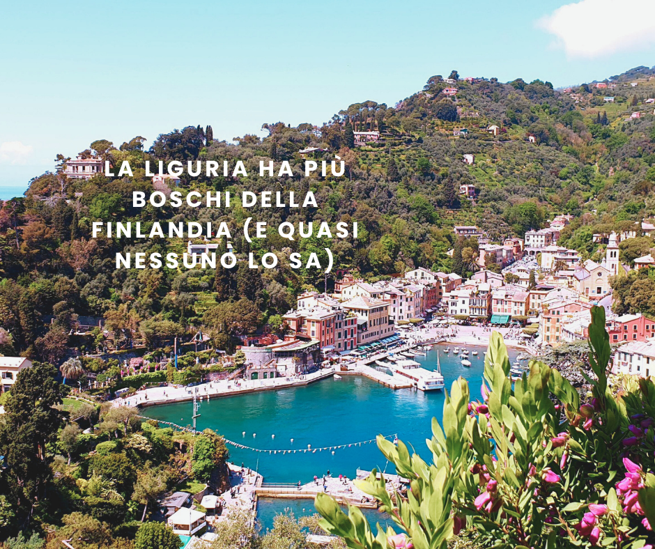 La Liguria ha più boschi della Finlandia (e quasi nessuno lo&nbsp;sa)